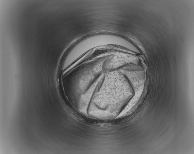 X0000111940395200908171301