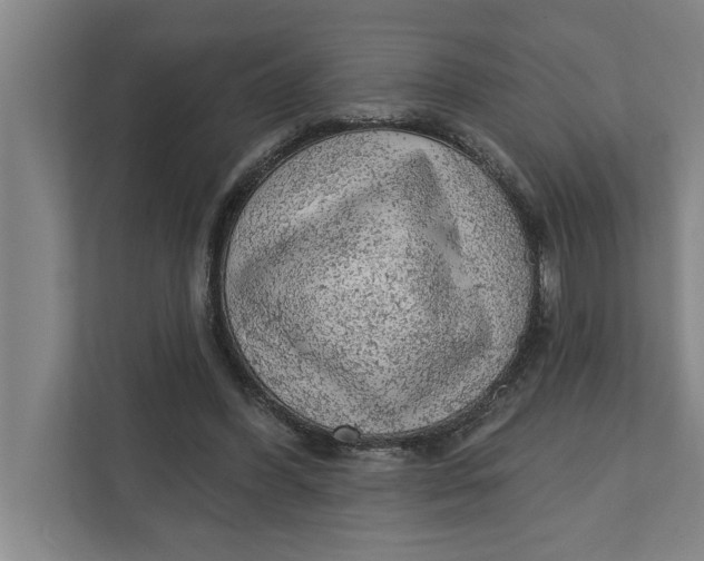 X0000111940396200908171301