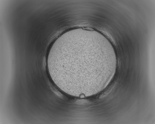 X0000111940397200908171301