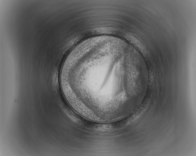 X0000111940398200908171301