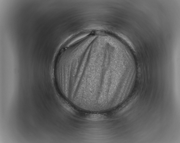 X0000111940399200908171301