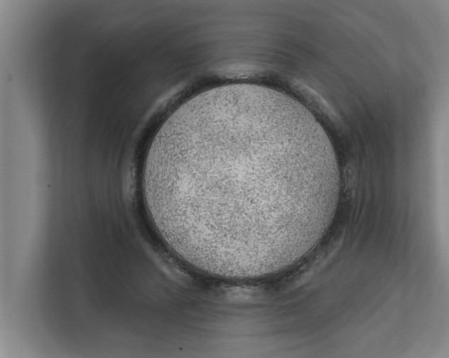 X0000111940400200908171301