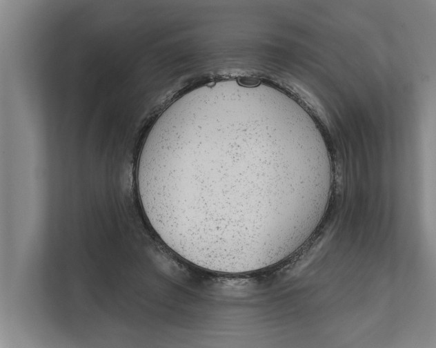 X0000111940401200908171301