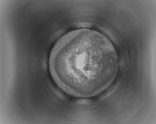 X0000111940402200908171301