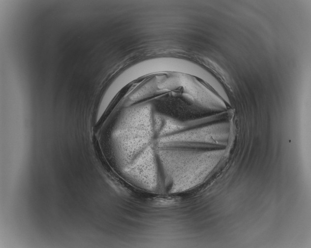 X0000111940405200908171301