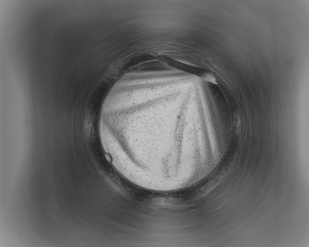 X0000111940408200908171301