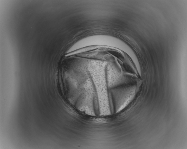 X0000111940409200908171301