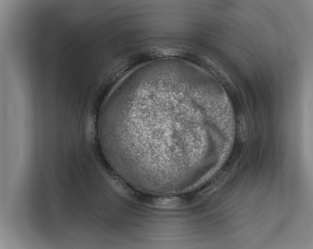 X0000111940410200908171301