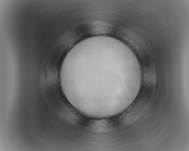 X0000111940411200908171301