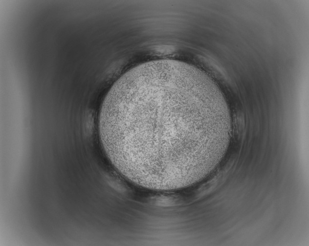 X0000111940412200908171301