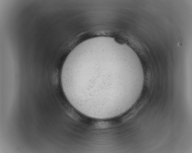 X0000111940413200908171301