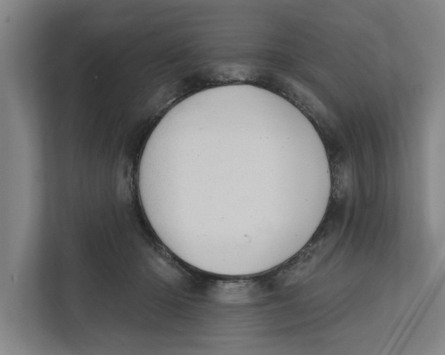 X0000111940414200908171301