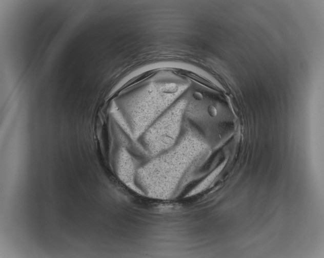 X0000111940415200908171301