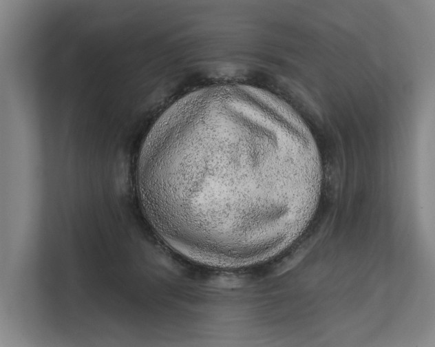 X0000111940416200908171301