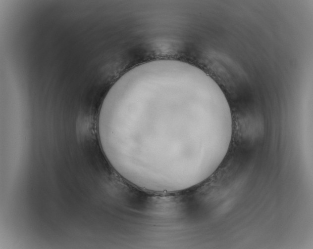 X0000111940419200908171301