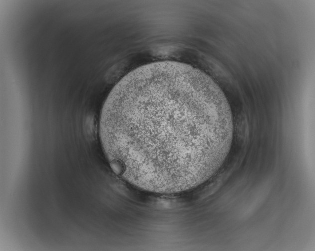 X0000111940420200908171301