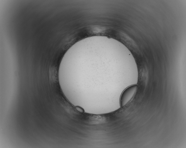 X0000111940421200908171301