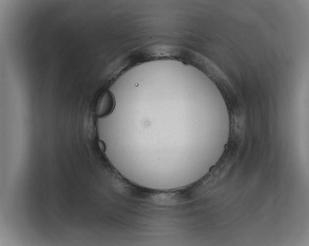 X0000111940422200908171301