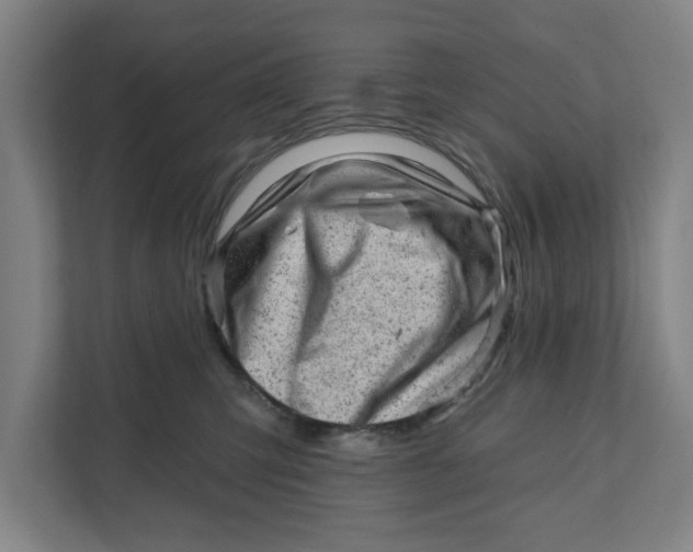 X0000111940423200908171301