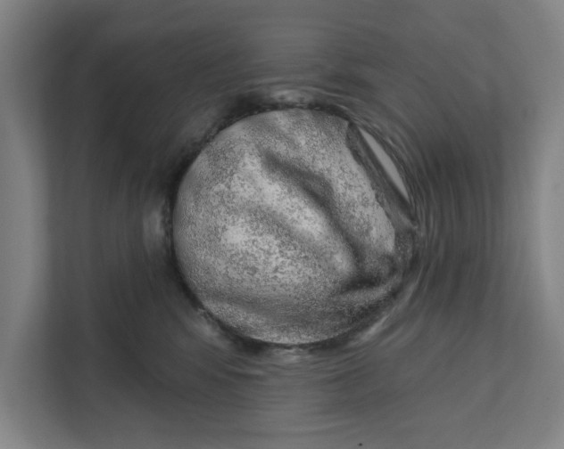 X0000111940424200908171301