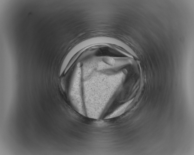 X0000111940425200908171301