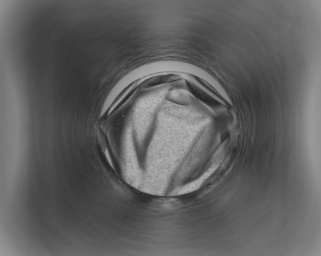 X0000111940427200908171301