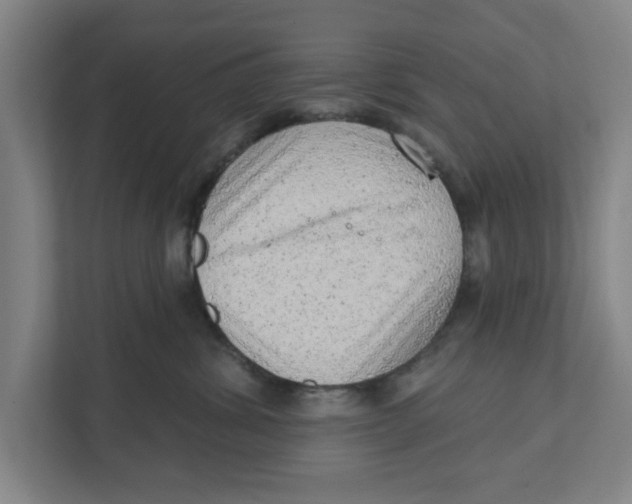 X0000111940428200908171301