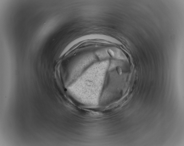 X0000111940429200908171301