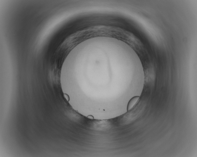 X0000111940431200908171301