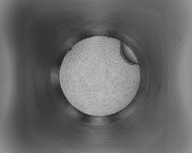 X0000111940432200908171301