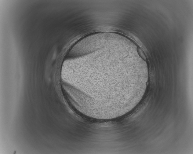 X0000111940433200908171300