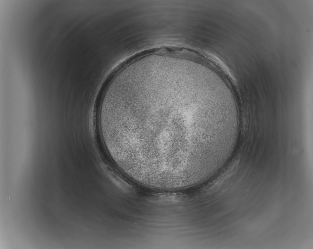 X0000111940439200908171300