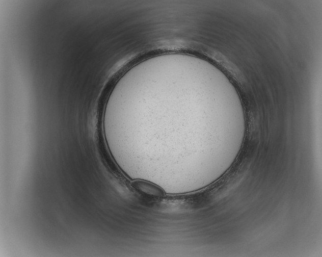 X0000111940440200908171300