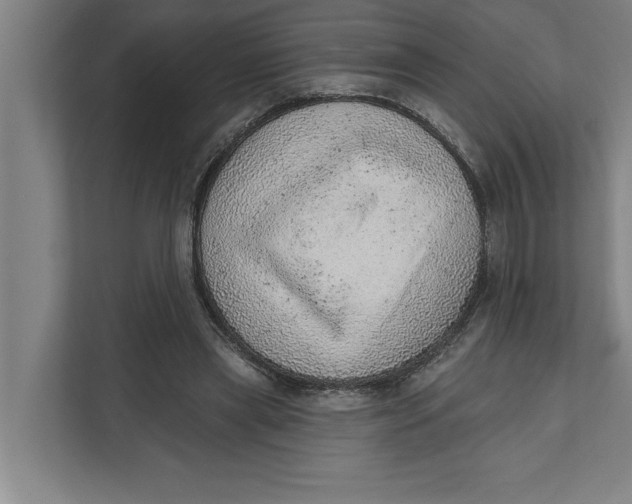 X0000111940445200908171300