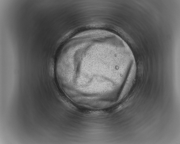 X0000111940446200908171300