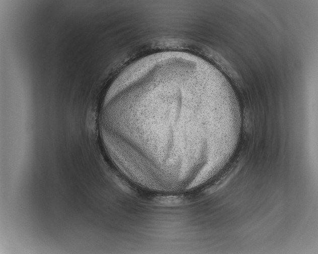 X0000111940449200908171300