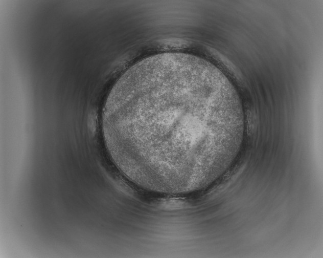 X0000111940451200908171300