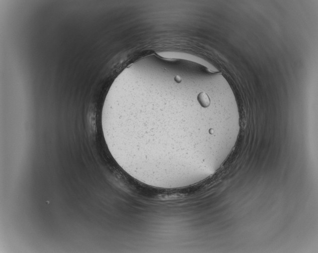 X0000111940452200908171300