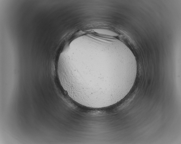 X0000111940453200908171300