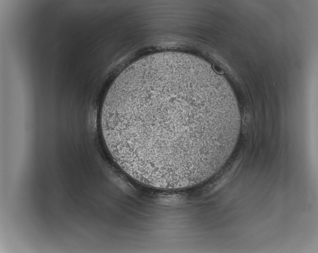 X0000111940454200908171300