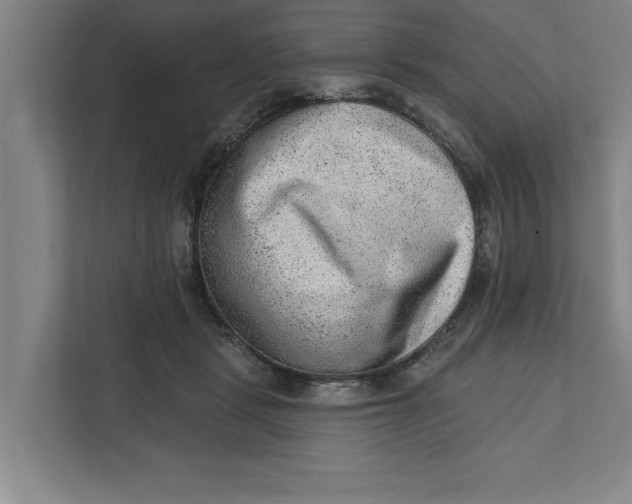 X0000111940461200908171300