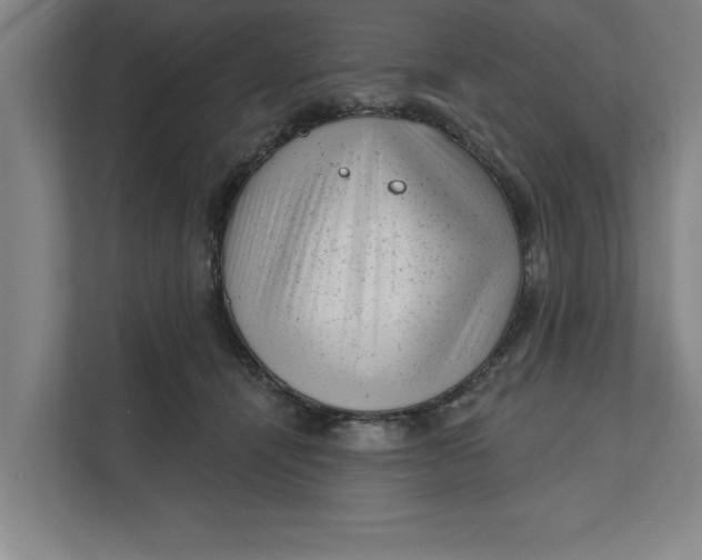 X0000111940464200908171300