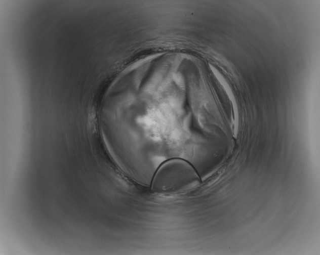 X0000111940465200908171300