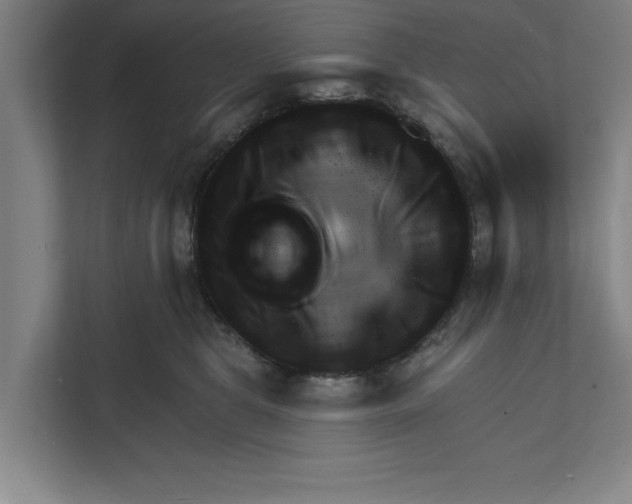 X0000111940469200908171301