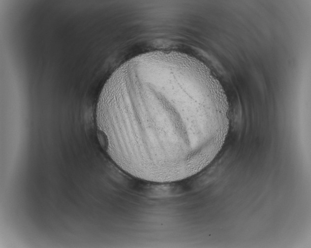 X0000111940473200908171301