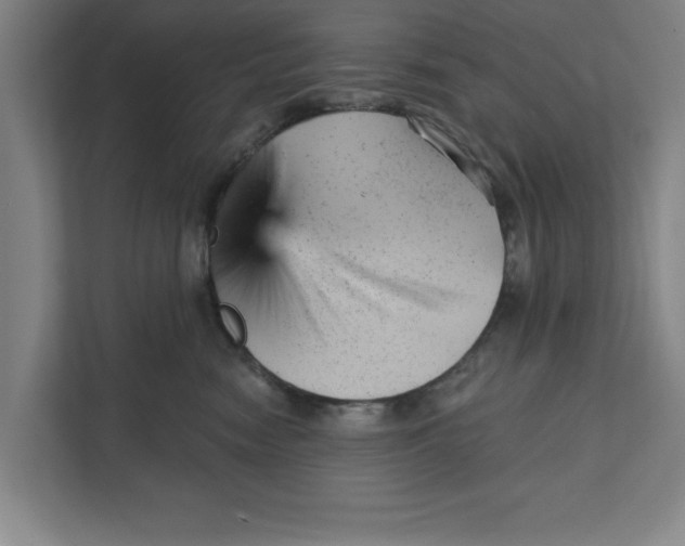 X0000111940474200908171301