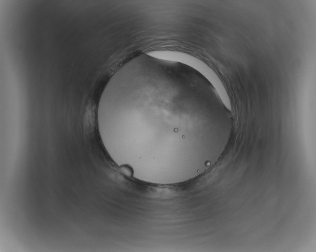 X0000111940475200908171301