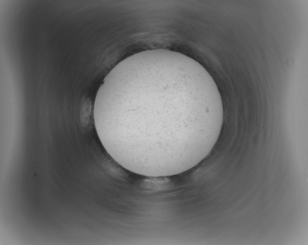 X0000111940480200908171301