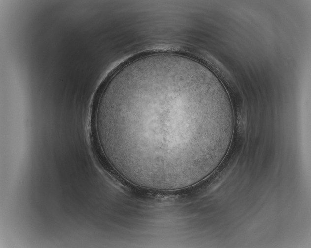 X0000111940484200908171300