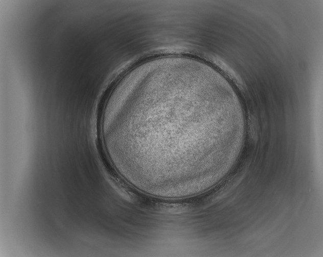 X0000111940486200908171300